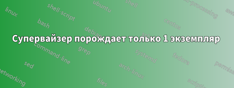 Супервайзер порождает только 1 экземпляр