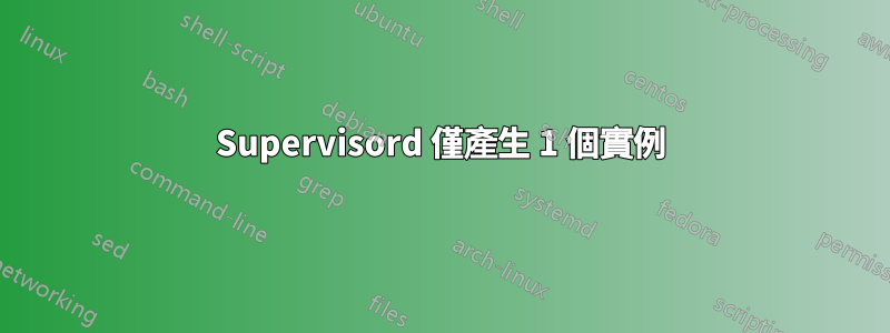 Supervisord 僅產生 1 個實例