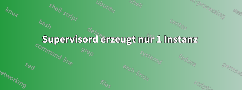 Supervisord erzeugt nur 1 Instanz