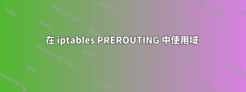 在 iptables PREROUTING 中使用域