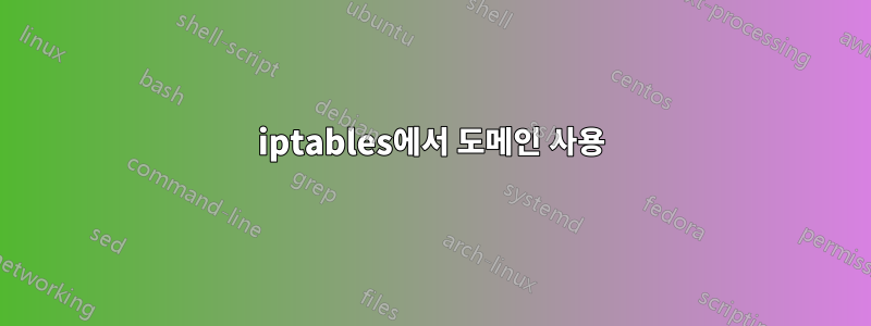 iptables에서 도메인 사용