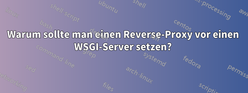 Warum sollte man einen Reverse-Proxy vor einen WSGI-Server setzen?