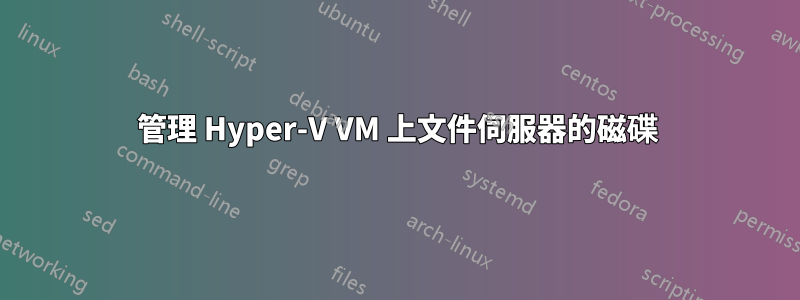 管理 Hyper-V VM 上文件伺服器的磁碟