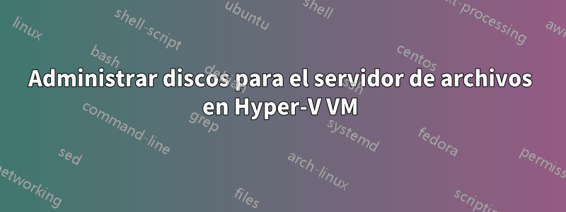 Administrar discos para el servidor de archivos en Hyper-V VM