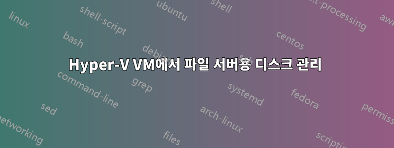 Hyper-V VM에서 파일 서버용 디스크 관리