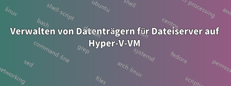 Verwalten von Datenträgern für Dateiserver auf Hyper-V-VM