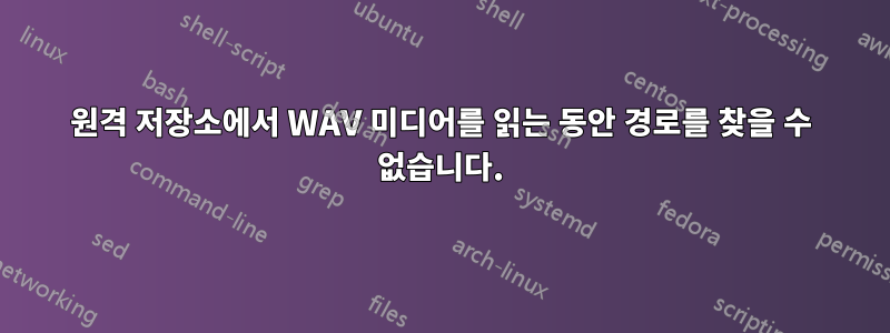 원격 저장소에서 WAV 미디어를 읽는 동안 경로를 찾을 수 없습니다.