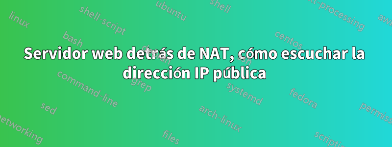 Servidor web detrás de NAT, cómo escuchar la dirección IP pública