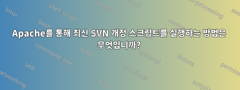 Apache를 통해 최신 SVN 개정 스크립트를 실행하는 방법은 무엇입니까?