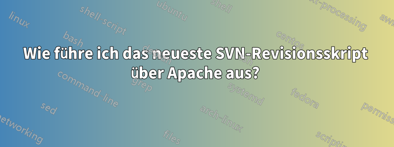 Wie führe ich das neueste SVN-Revisionsskript über Apache aus?