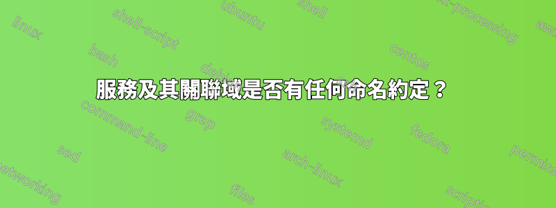 服務及其關聯域是否有任何命名約定？ 