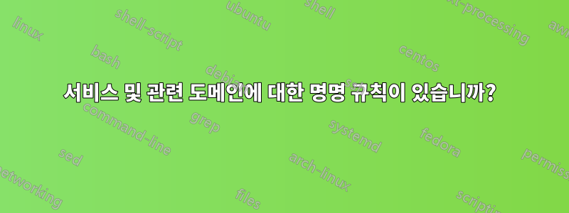 서비스 및 관련 도메인에 대한 명명 규칙이 있습니까? 