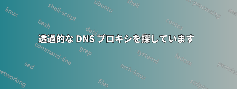 透過的な DNS プロキシを探しています 