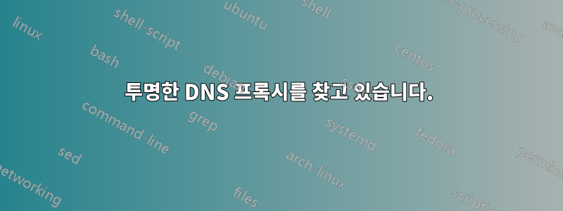 투명한 DNS 프록시를 찾고 있습니다.