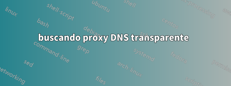 buscando proxy DNS transparente 