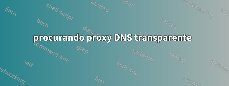 procurando proxy DNS transparente 