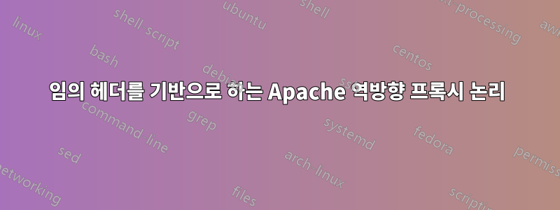 임의 헤더를 기반으로 하는 Apache 역방향 프록시 논리