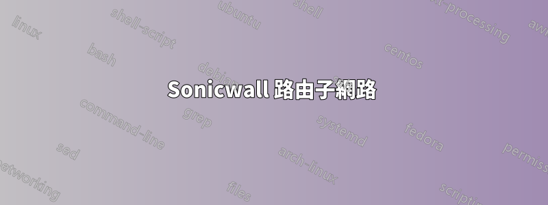 Sonicwall 路由子網路