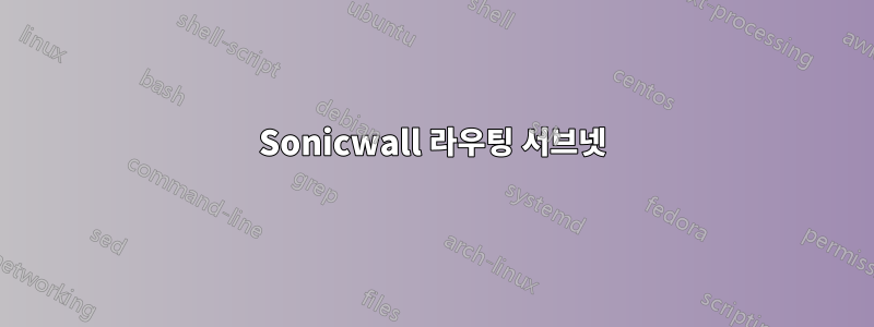 Sonicwall 라우팅 서브넷