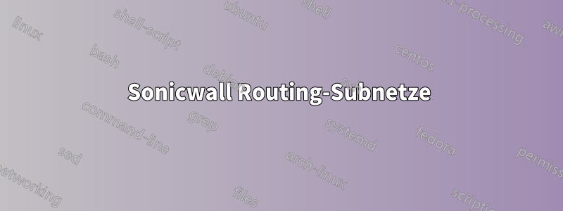 Sonicwall Routing-Subnetze