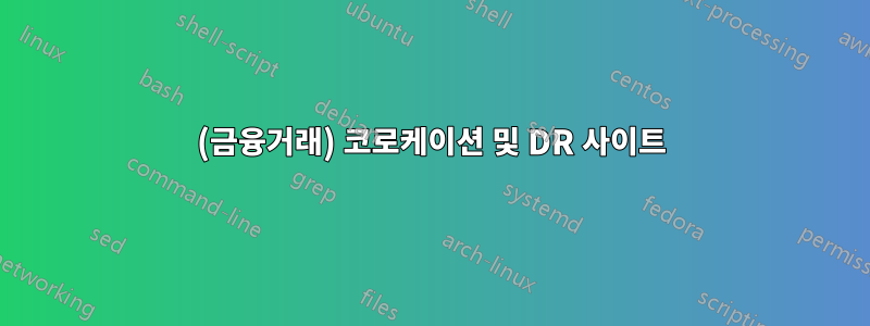 (금융거래) 코로케이션 및 DR 사이트