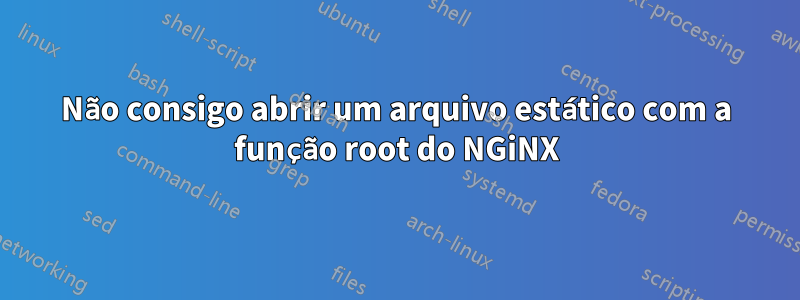 Não consigo abrir um arquivo estático com a função root do NGiNX