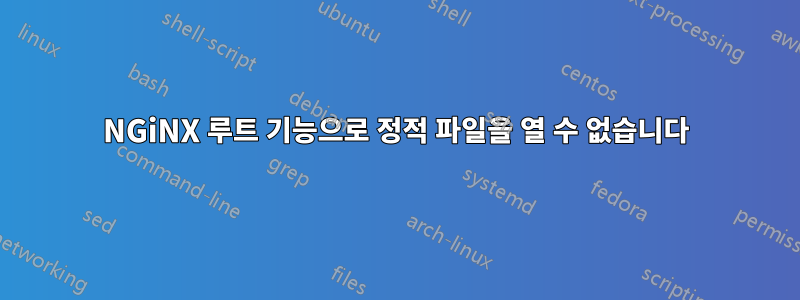 NGiNX 루트 기능으로 정적 파일을 열 수 없습니다