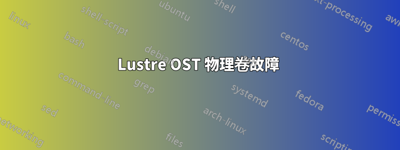 Lustre OST 物理卷故障