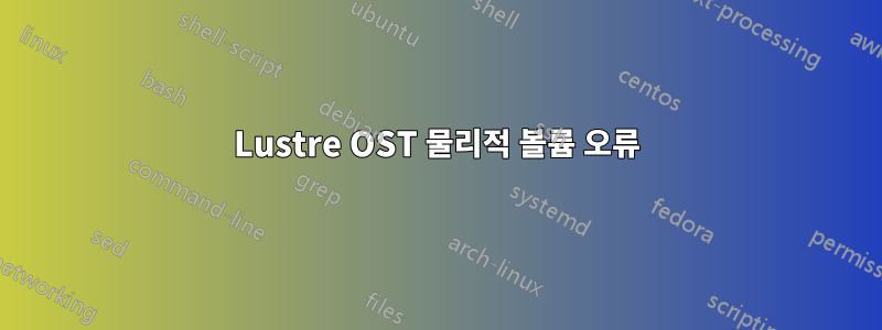 Lustre OST 물리적 볼륨 오류