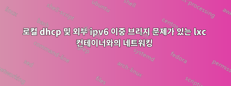 로컬 dhcp 및 외부 ipv6 이중 브리지 문제가 있는 lxc 컨테이너와의 네트워킹