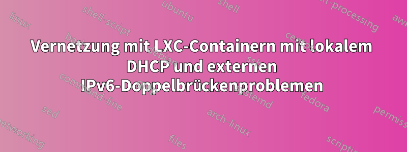 Vernetzung mit LXC-Containern mit lokalem DHCP und externen IPv6-Doppelbrückenproblemen