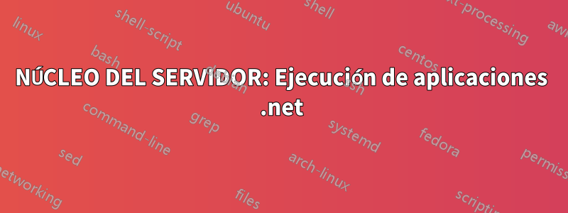 NÚCLEO DEL SERVIDOR: Ejecución de aplicaciones .net