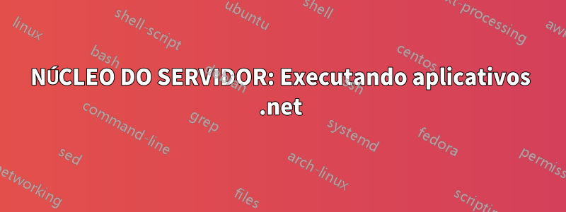 NÚCLEO DO SERVIDOR: Executando aplicativos .net