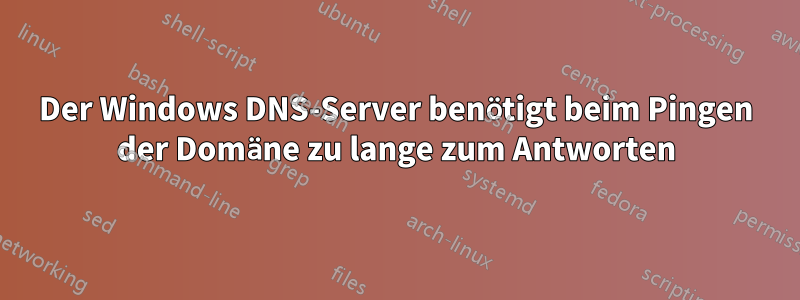 Der Windows DNS-Server benötigt beim Pingen der Domäne zu lange zum Antworten