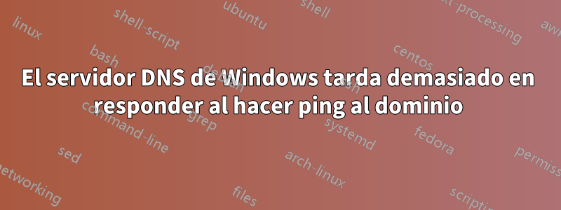 El servidor DNS de Windows tarda demasiado en responder al hacer ping al dominio