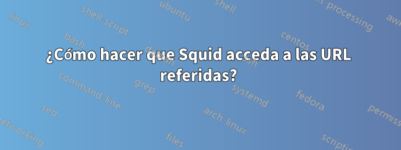 ¿Cómo hacer que Squid acceda a las URL referidas?