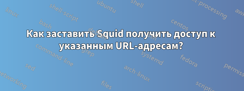 Как заставить Squid получить доступ к указанным URL-адресам?