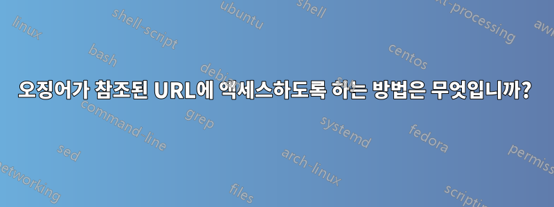 오징어가 참조된 URL에 액세스하도록 하는 방법은 무엇입니까?