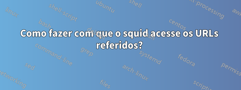 Como fazer com que o squid acesse os URLs referidos?