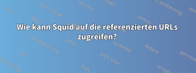 Wie kann Squid auf die referenzierten URLs zugreifen?