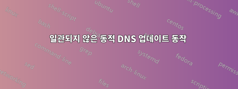 일관되지 않은 동적 DNS 업데이트 동작