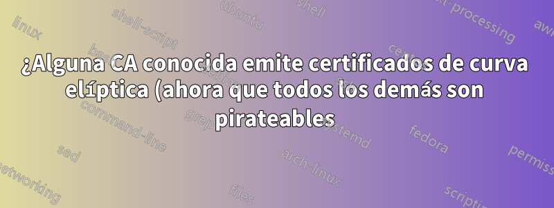 ¿Alguna CA conocida emite certificados de curva elíptica (ahora que todos los demás son pirateables)?