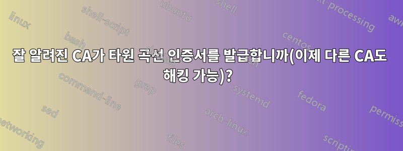 잘 알려진 CA가 타원 곡선 인증서를 발급합니까(이제 다른 CA도 해킹 가능)? 