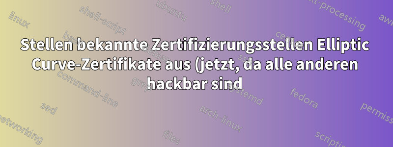 Stellen bekannte Zertifizierungsstellen Elliptic Curve-Zertifikate aus (jetzt, da alle anderen hackbar sind)?