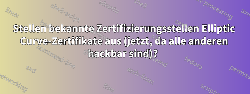 Stellen bekannte Zertifizierungsstellen Elliptic Curve-Zertifikate aus (jetzt, da alle anderen hackbar sind)? 