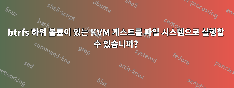 btrfs 하위 볼륨이 있는 KVM 게스트를 파일 시스템으로 실행할 수 있습니까?