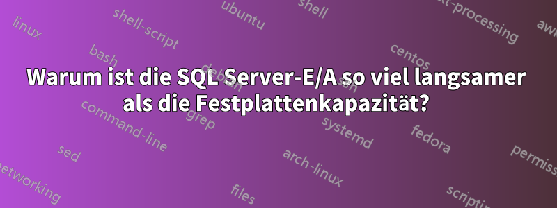 Warum ist die SQL Server-E/A so viel langsamer als die Festplattenkapazität?