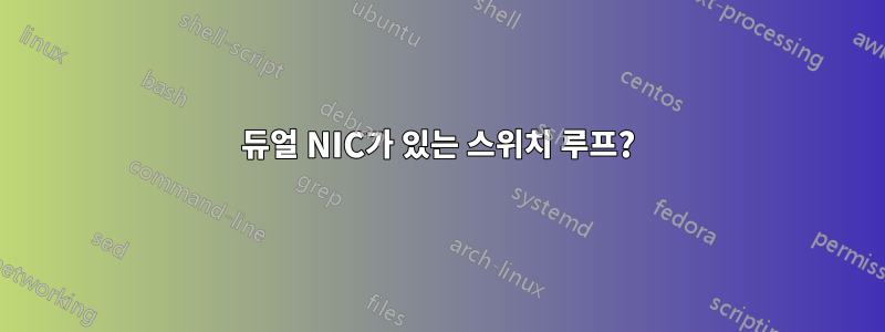 듀얼 NIC가 있는 스위치 루프?