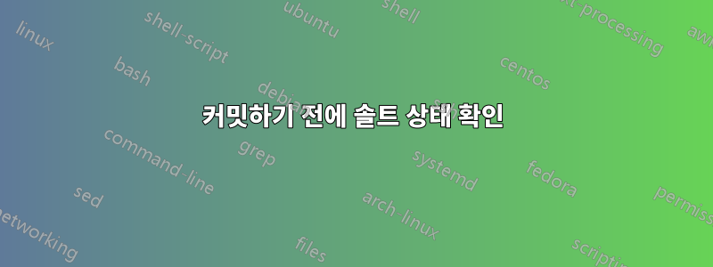 커밋하기 전에 솔트 상태 확인