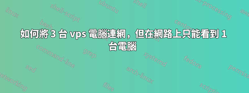 如何將 3 台 vps 電腦連網，但在網路上只能看到 1 台電腦 